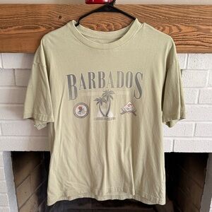 American Eagle Outfitters Light Green Boxy Fit Tee